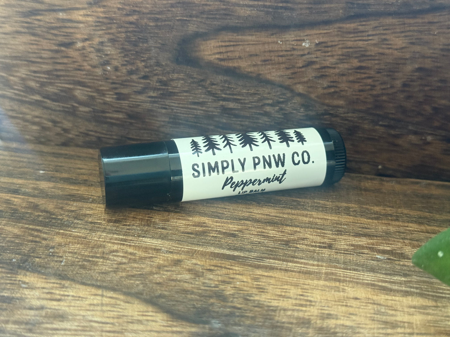 Small Lip Balm- Simply PNW Co.