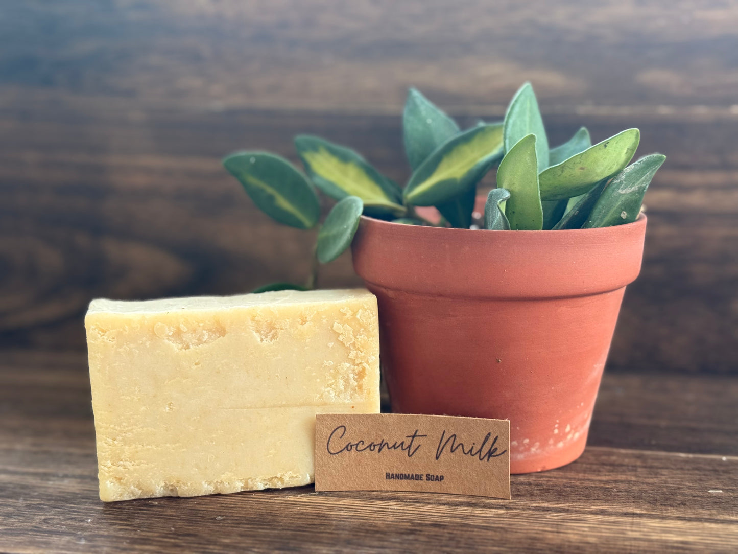 Coconut Milk Bar Soap - Simply PNW Co.