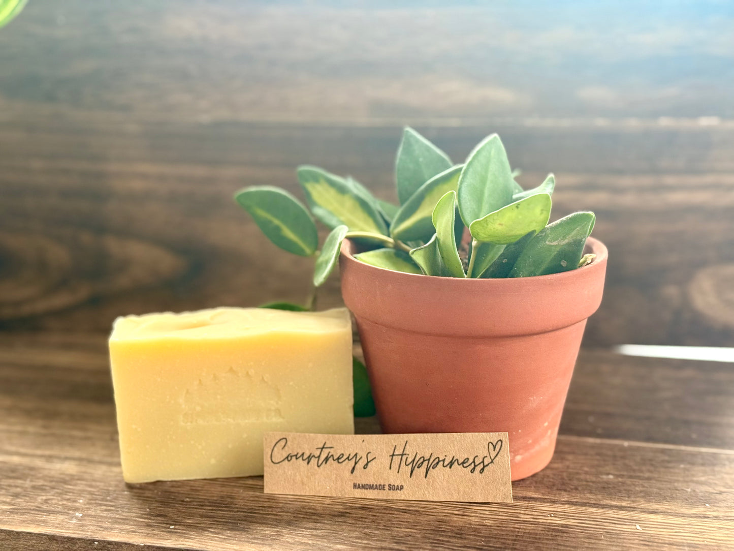 Courtney’s Hippiness ❤️ Tallow Bar