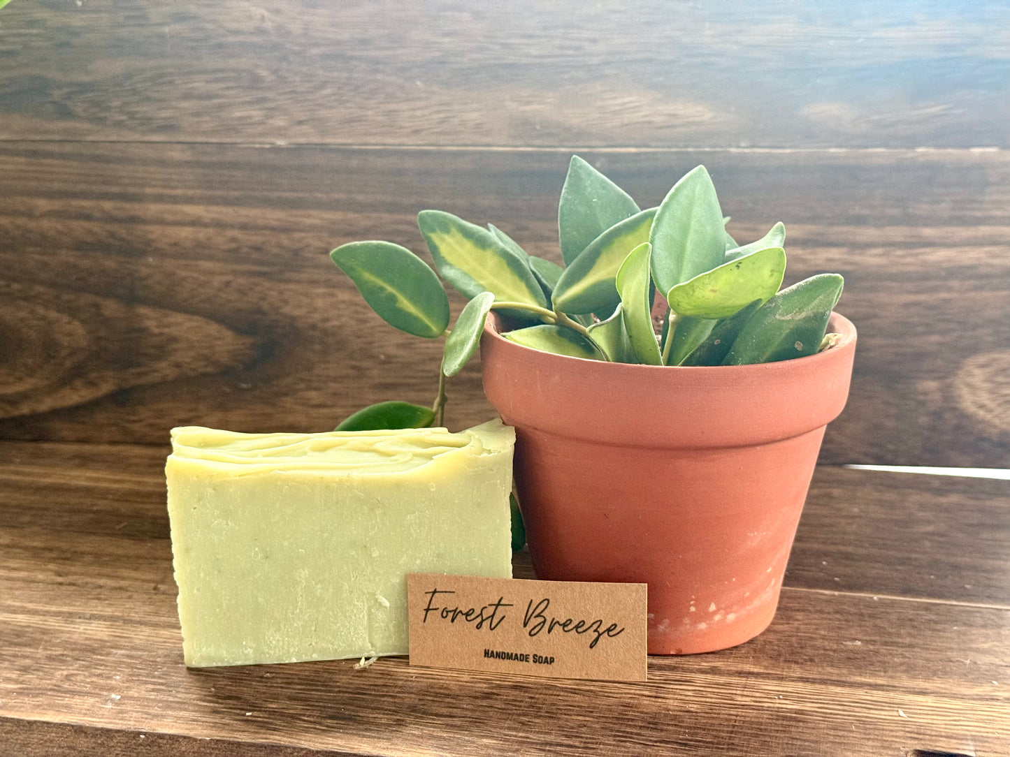 Forest Breeze Bar Soap - Simply PNW Co.