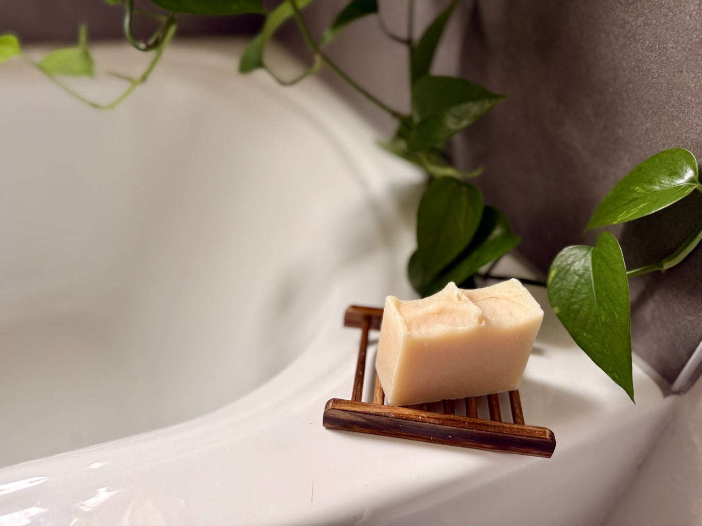 Moon Dust Bar Soap – Eucalyptus, Peppermint & Tea Tree IPA Cleanse