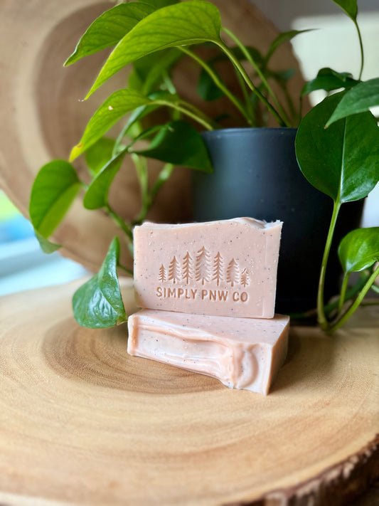 Watermelon Sugar Summer Tallow Soap