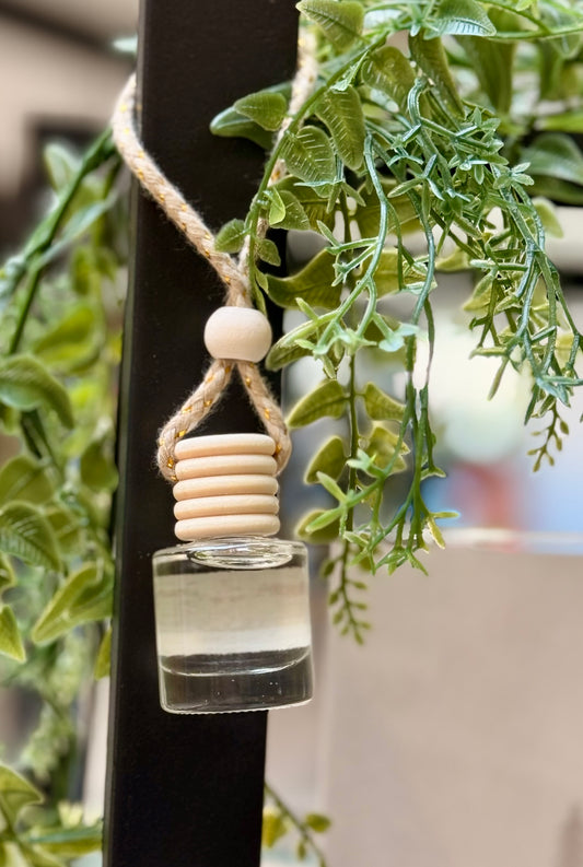 Hanging Car Diffuser