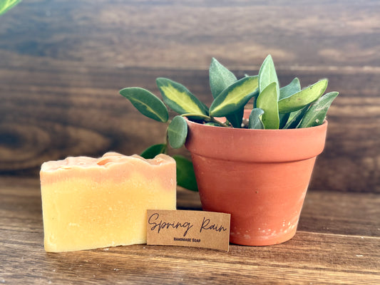 Spring Rain Bar Soap - Simply PNW Co.