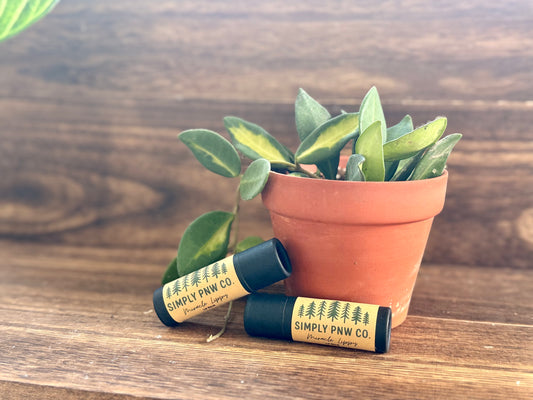 Large Lip Balm - Simply PNW Co.