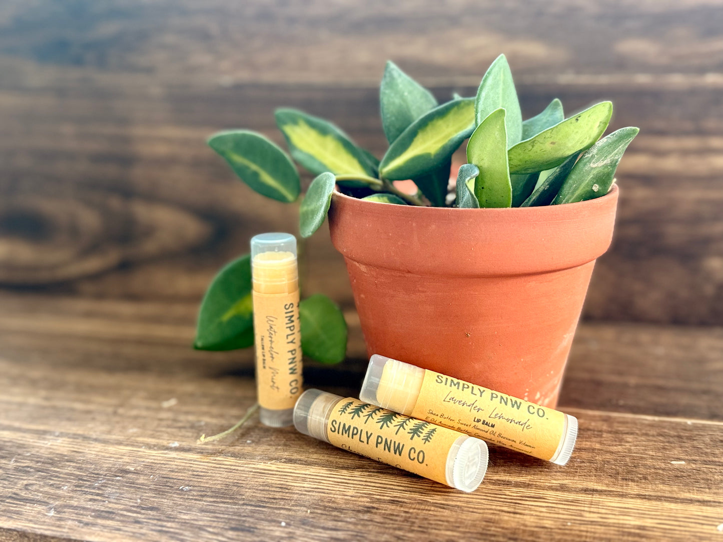 Small Lip Balm- Simply PNW Co.