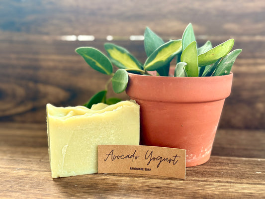 Avocado Yogurt Bar Soap - Simply PNW Co.