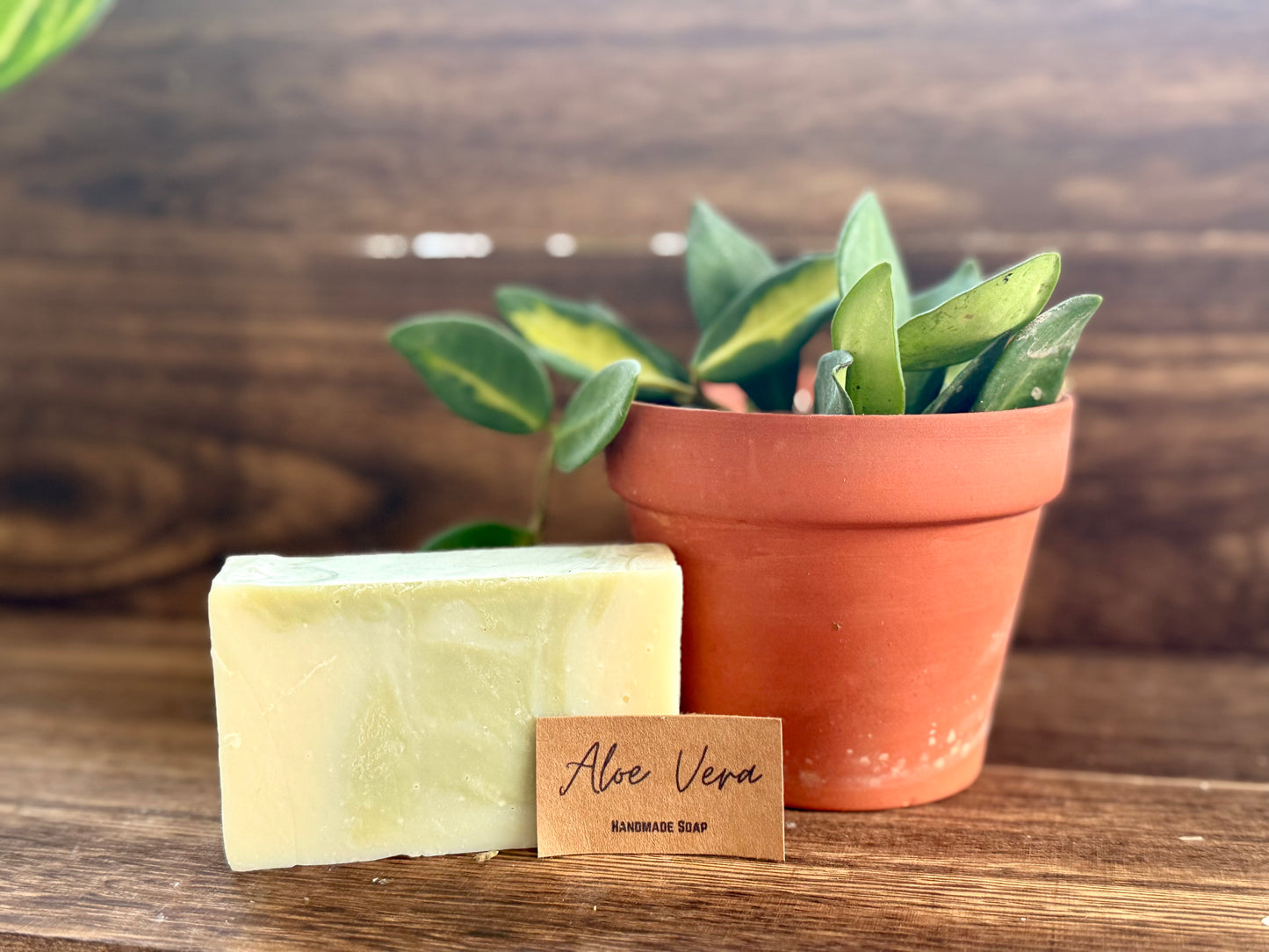 Aloe Vera Bar Soap - Simply PNW Co.