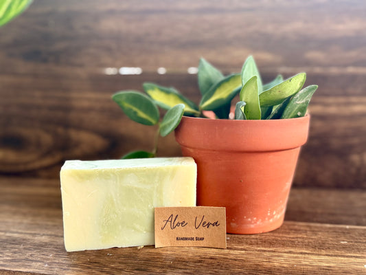 Aloe Vera Bar Soap - Simply PNW Co.